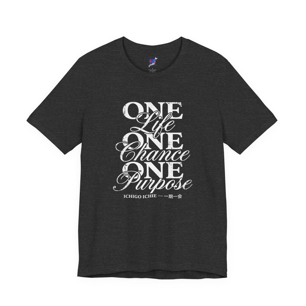 Ichigo Ichie Japanese Philosophy T-Shirt — One Life One Chance One Purpose | 一期一会 Vintage Typography Zen Tee