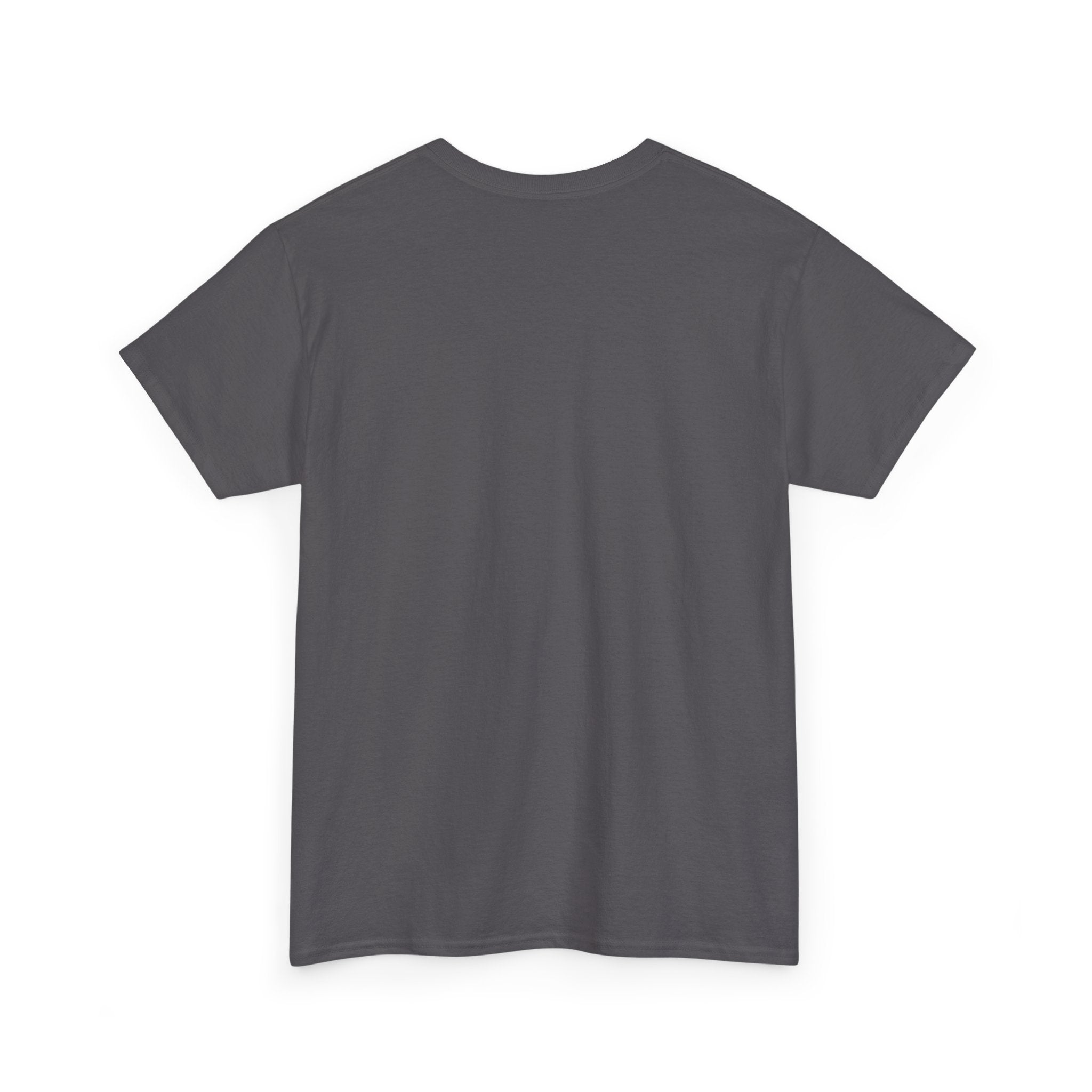 Hokkaido Bear Samurai T-Shirt — 北海道の熊武士 Japanese Warrior Bear | Higuma Bushido Vintage Art Graphic Tee